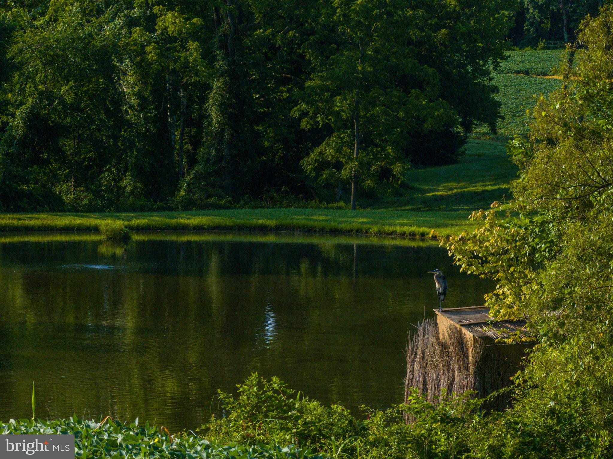 SPARKS - Residential