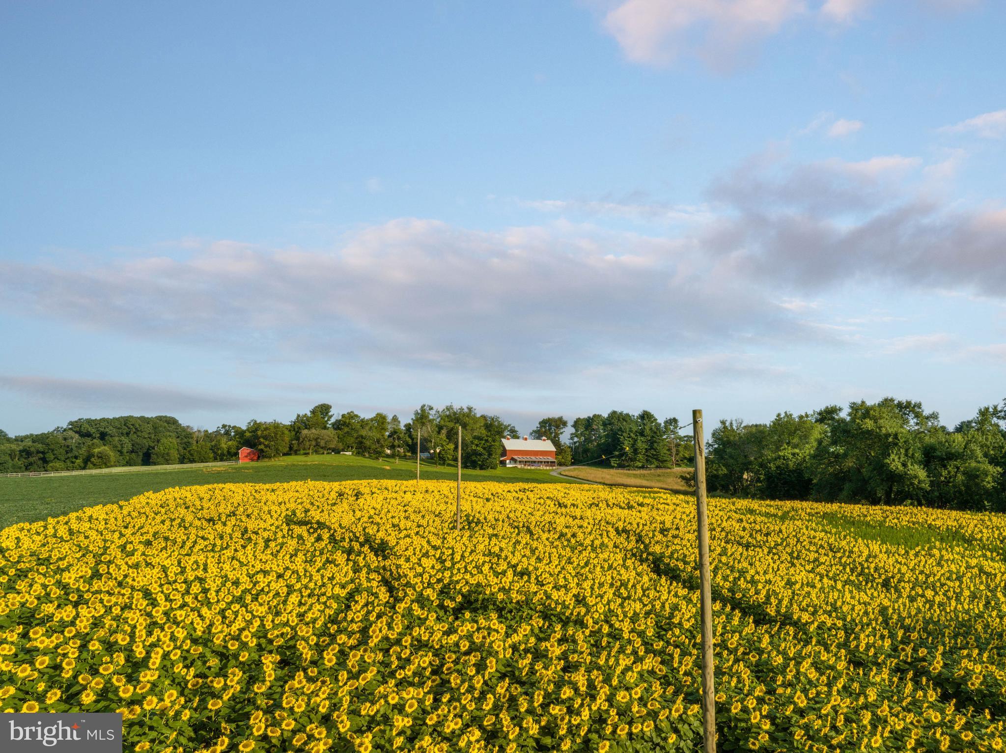 SPARKS - Residential