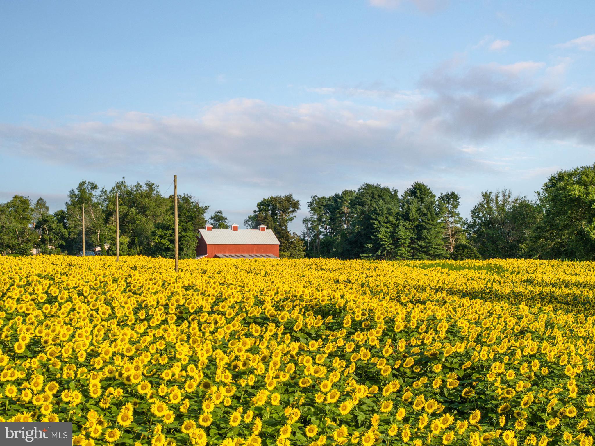 SPARKS - Residential