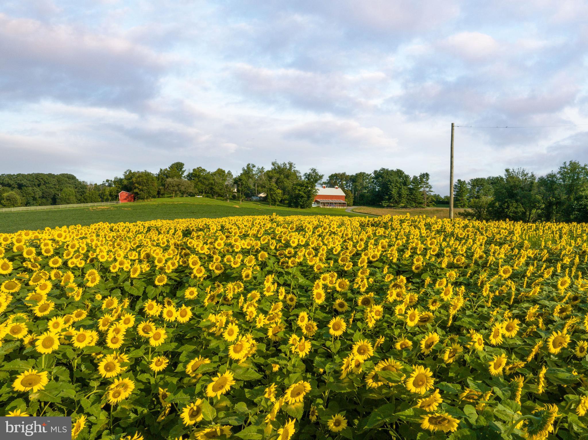 SPARKS - Residential