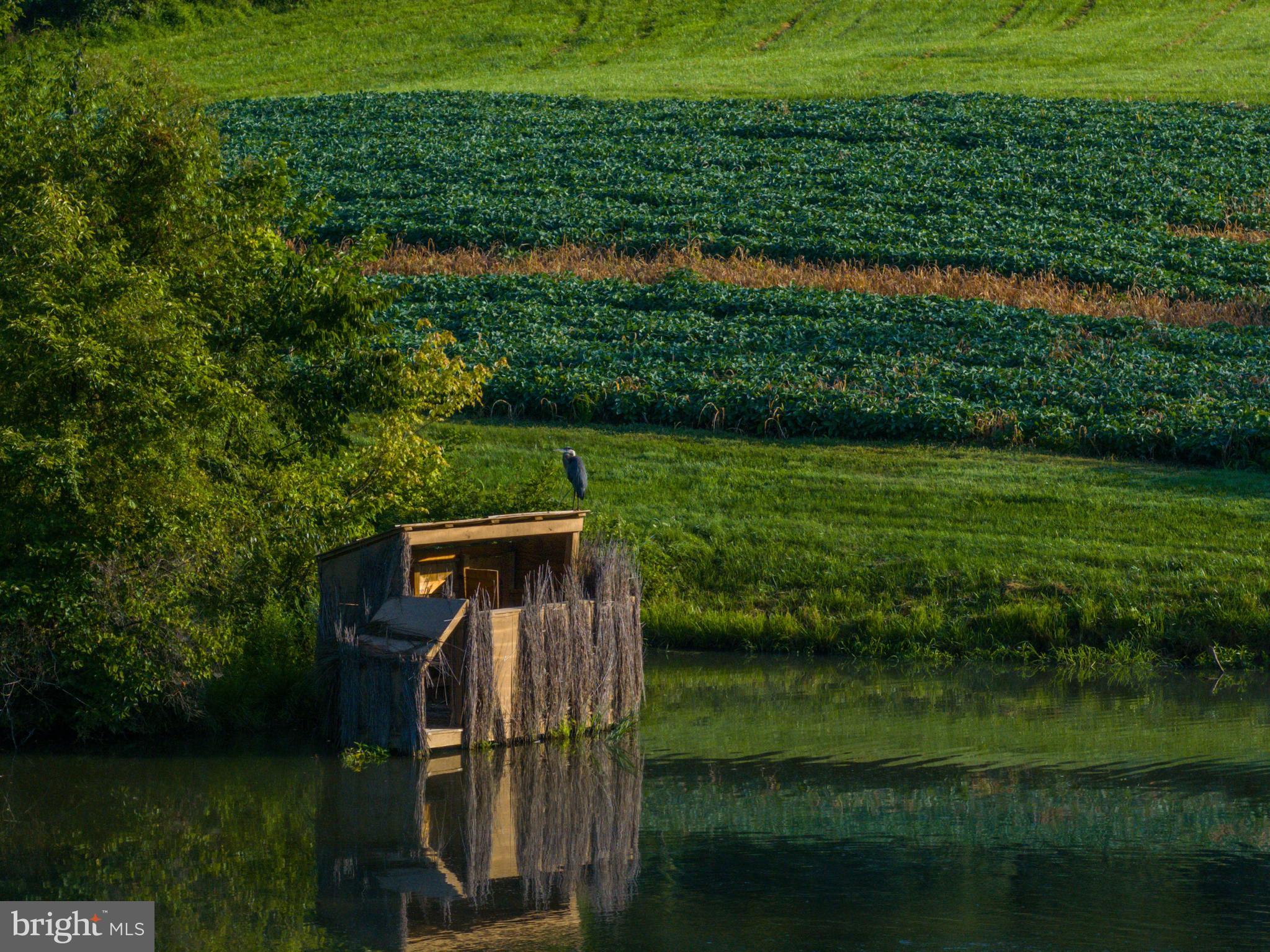 SPARKS - Residential