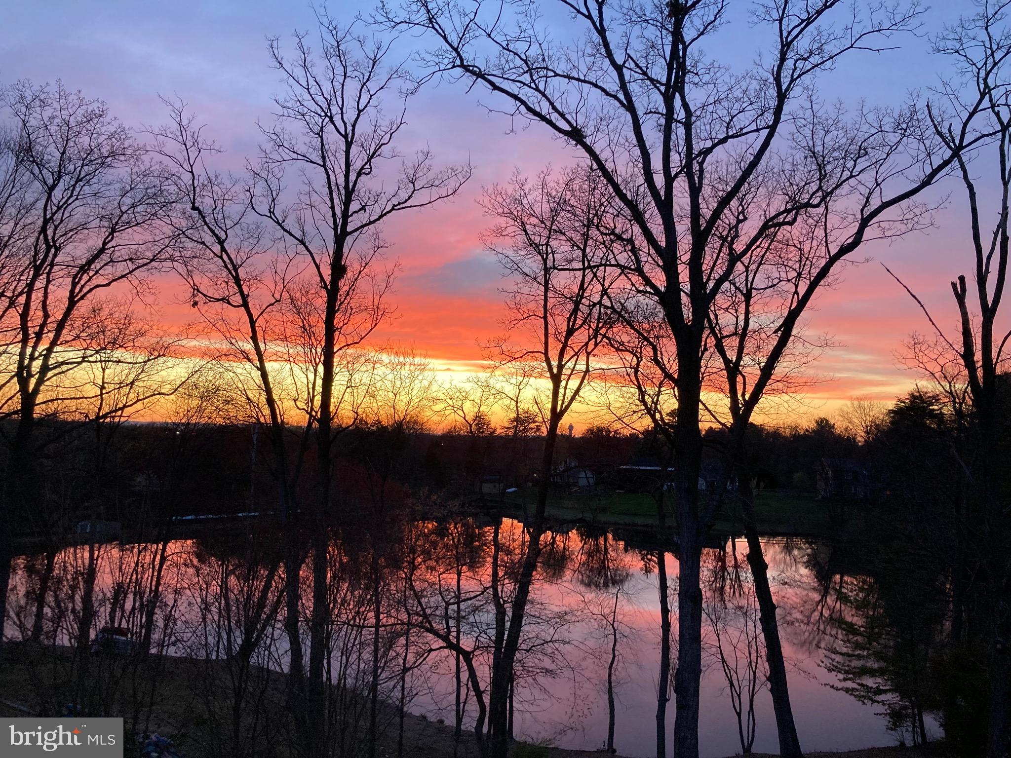 13484 LAKE SHORE