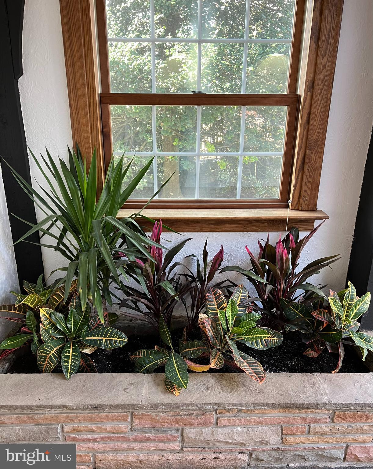 WOODSIDE PARK - Residential