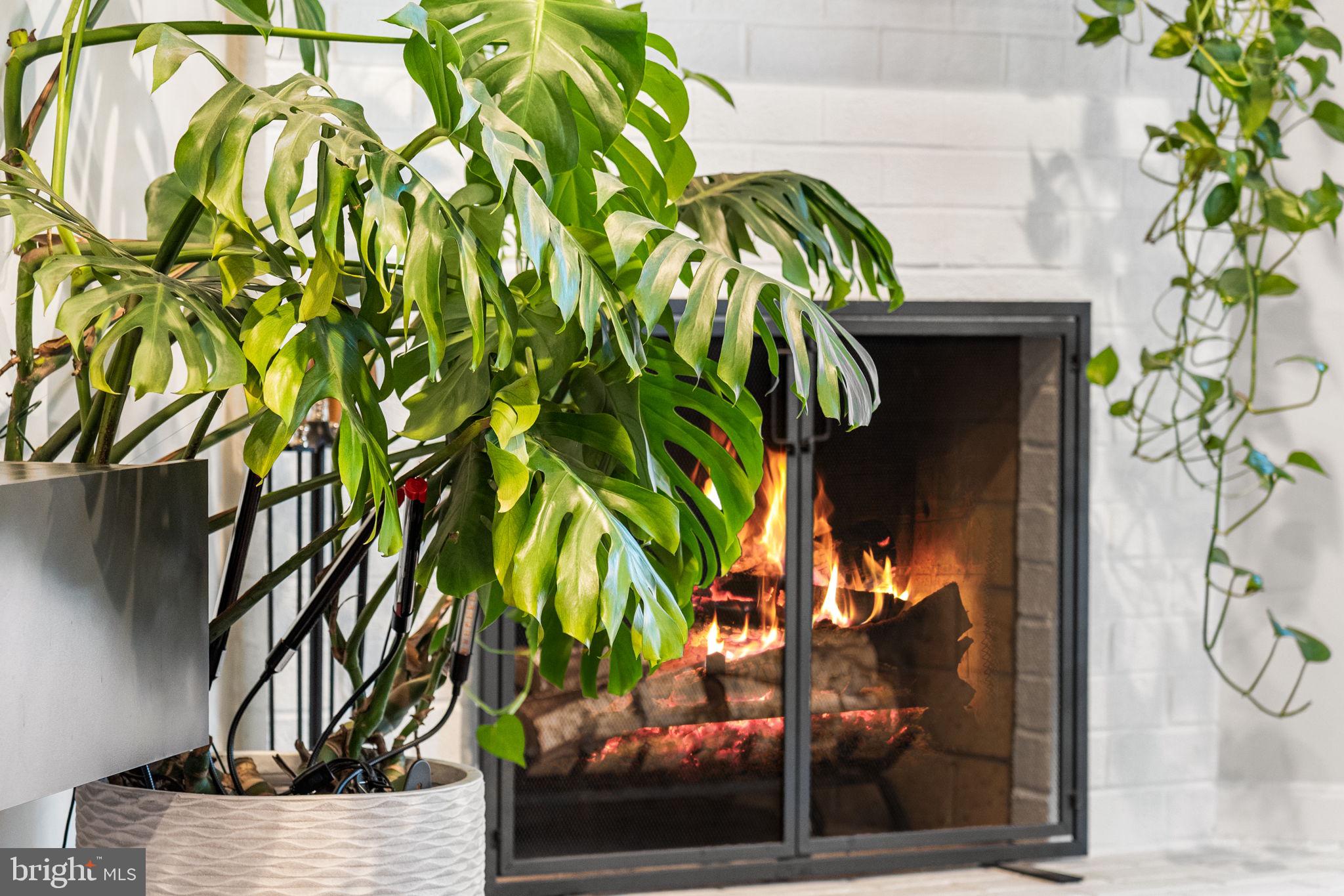 WESTHAMPTON MEWS - Residential