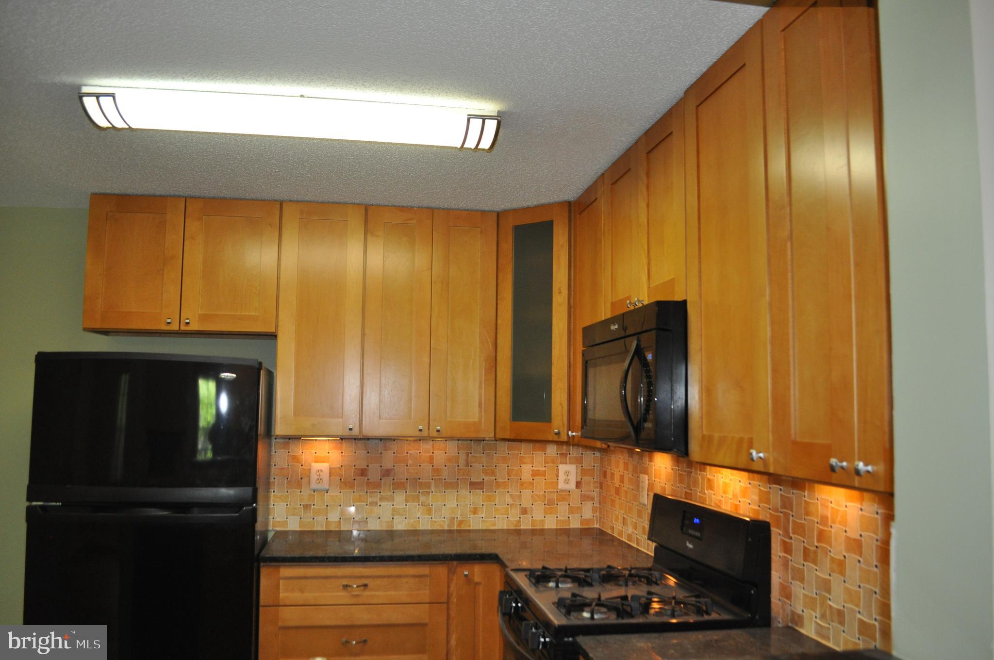 RESTON TOWN CENTER - Residential Lease