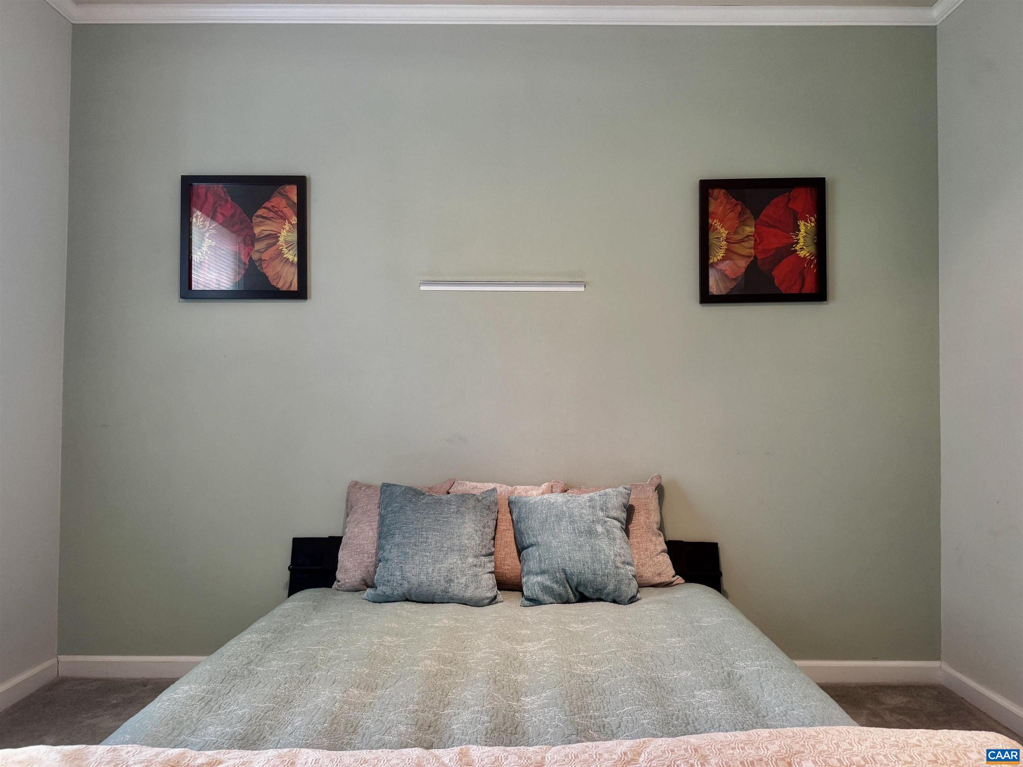 LAKE MONTICELLO - Residential