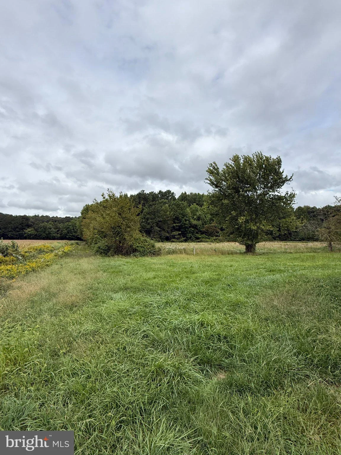 4111 Willow Grove Road, Camden Wyoming, DE 19934