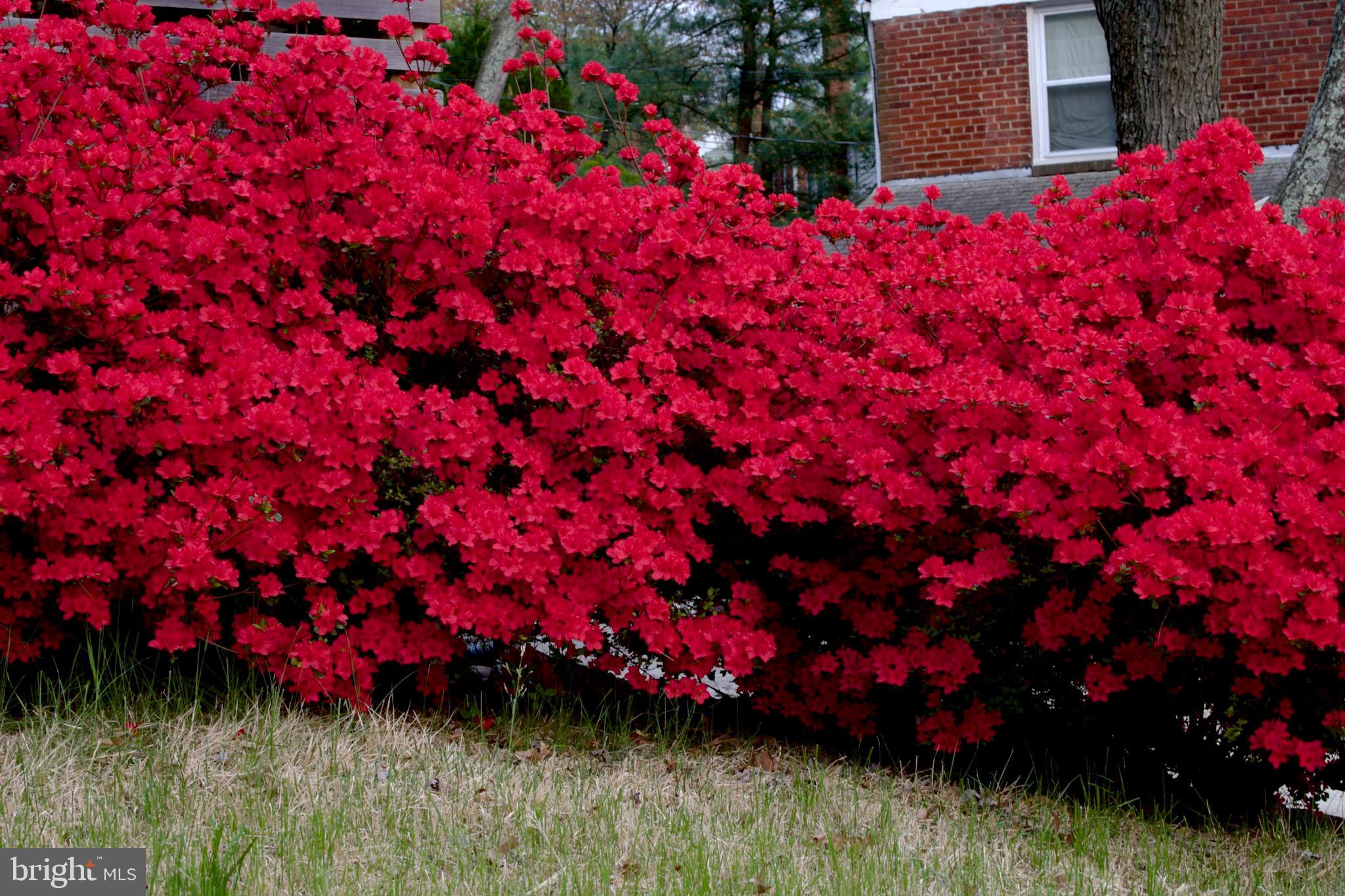 JEFFERSON MANOR - Residential