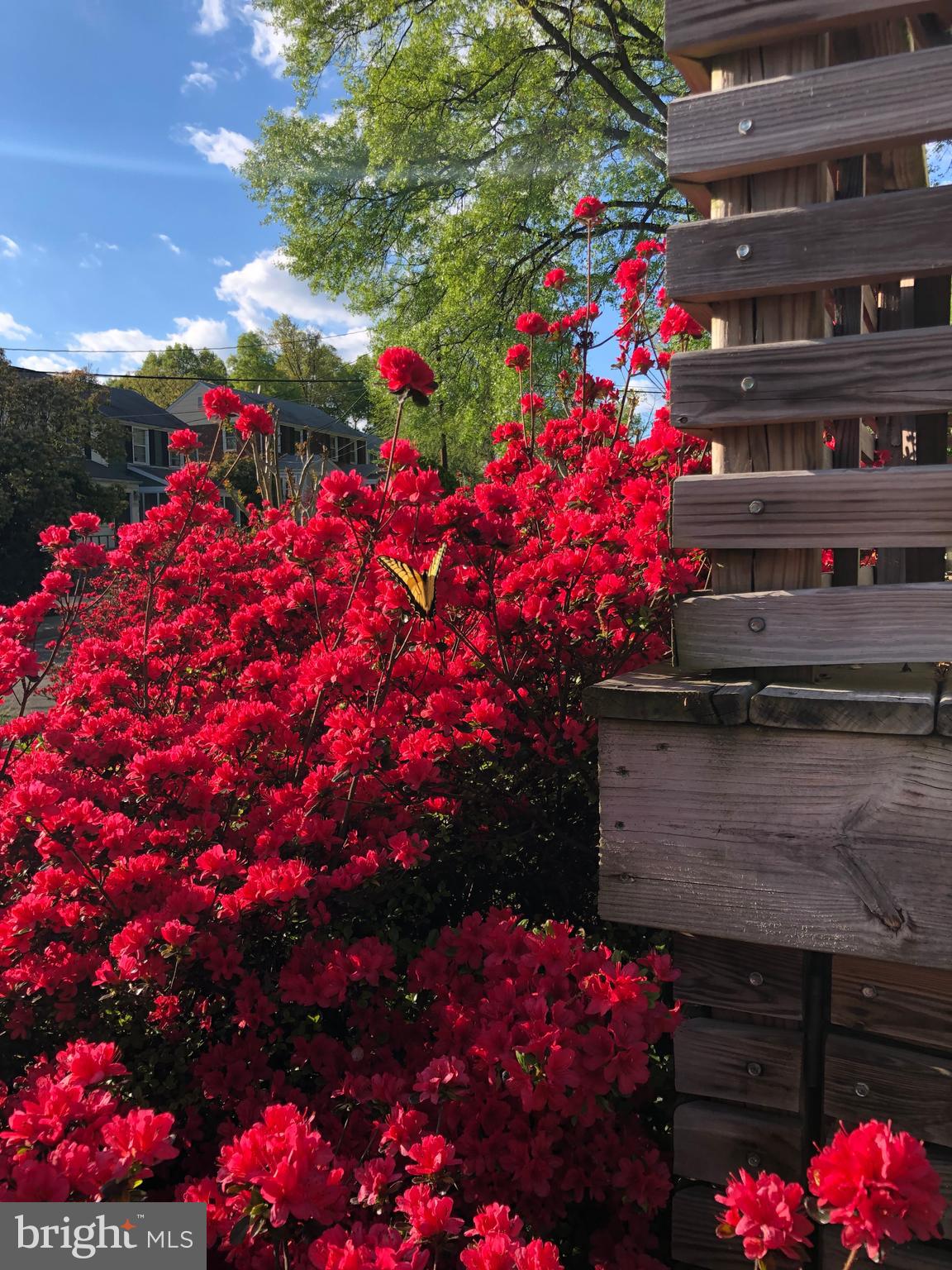 JEFFERSON MANOR - Residential