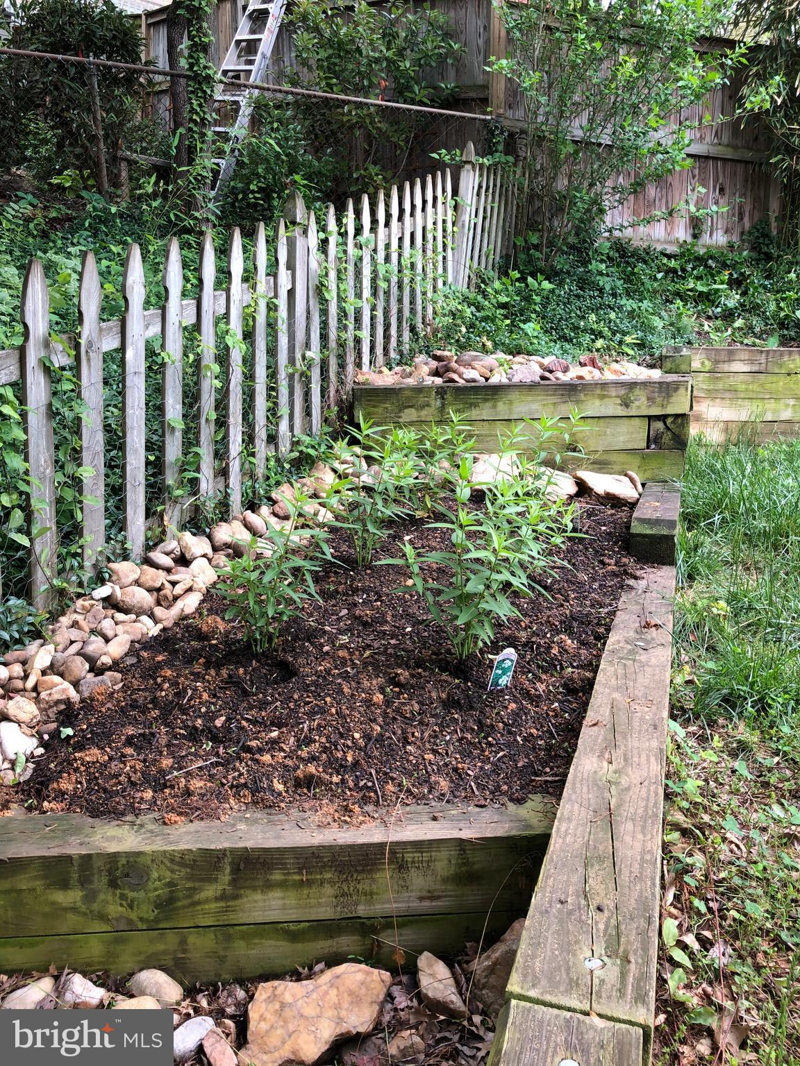 JEFFERSON MANOR - Residential