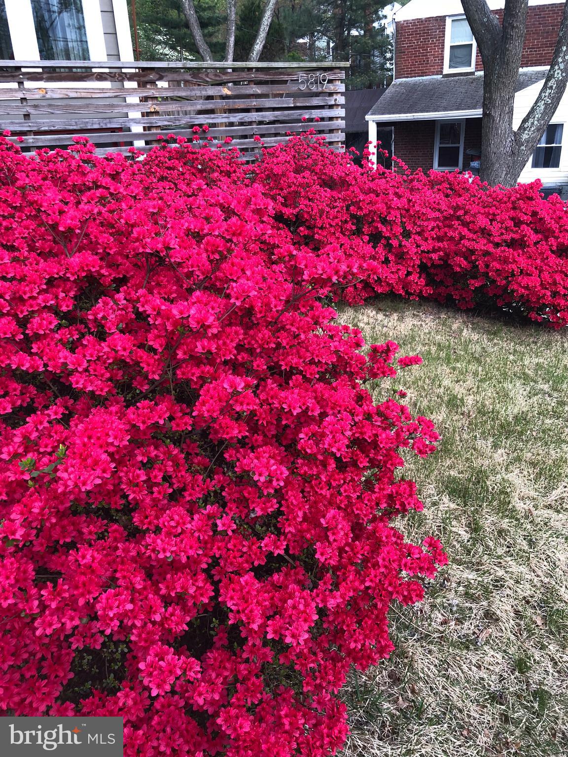 JEFFERSON MANOR - Residential