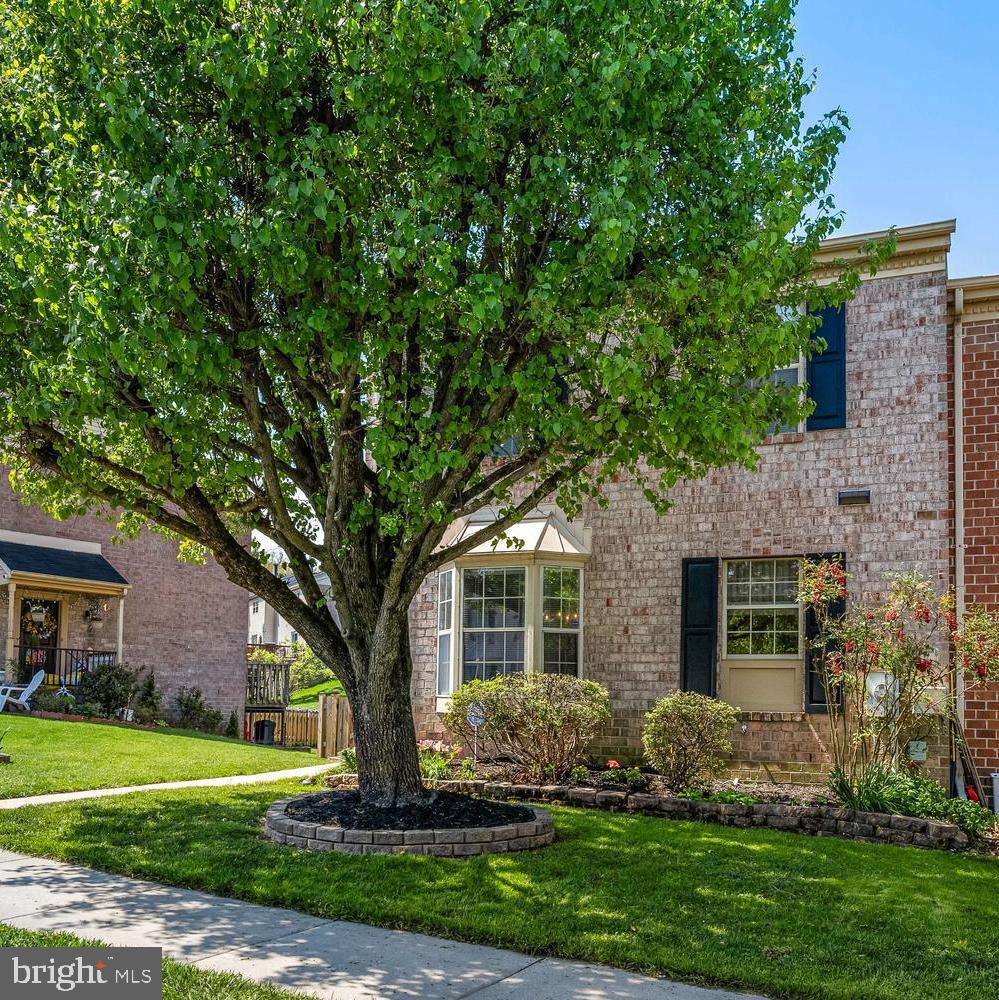 SILVER SPRING STATION - Residential