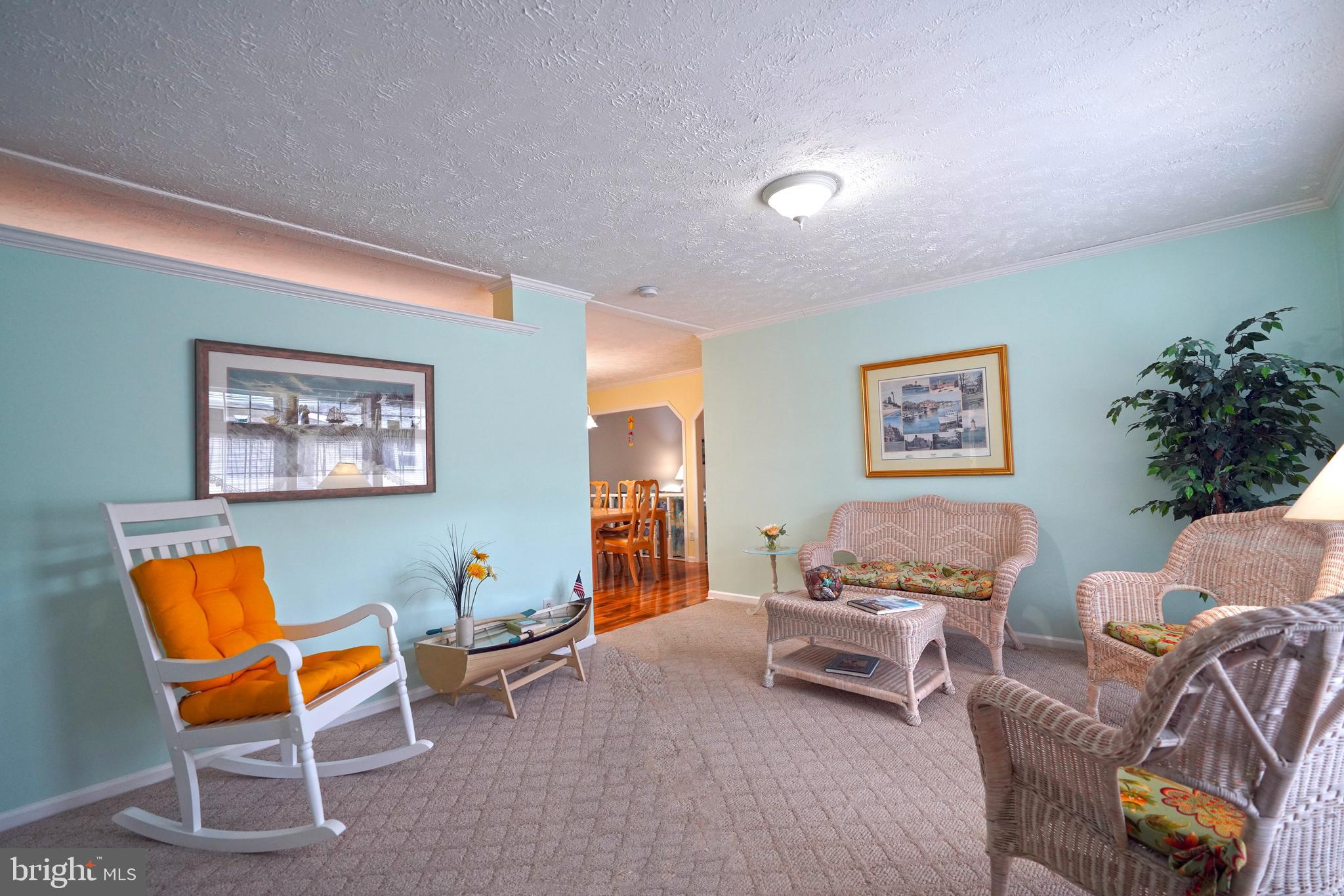 205 LONG NECK CIRCLE