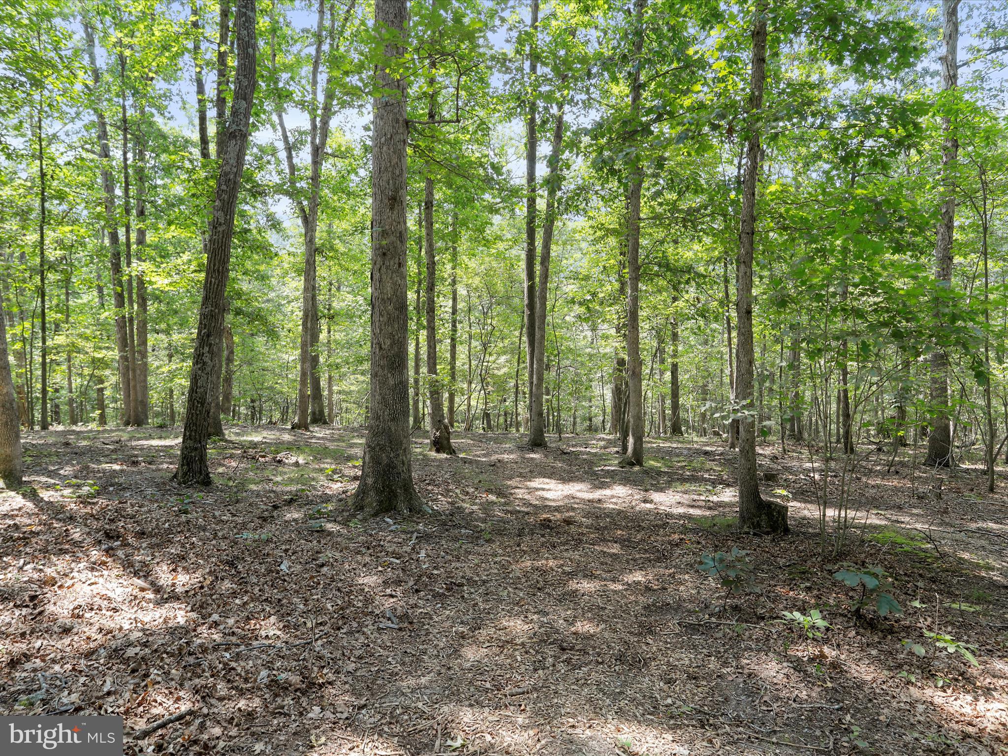 WOODHAVEN KNOLLS - Residential