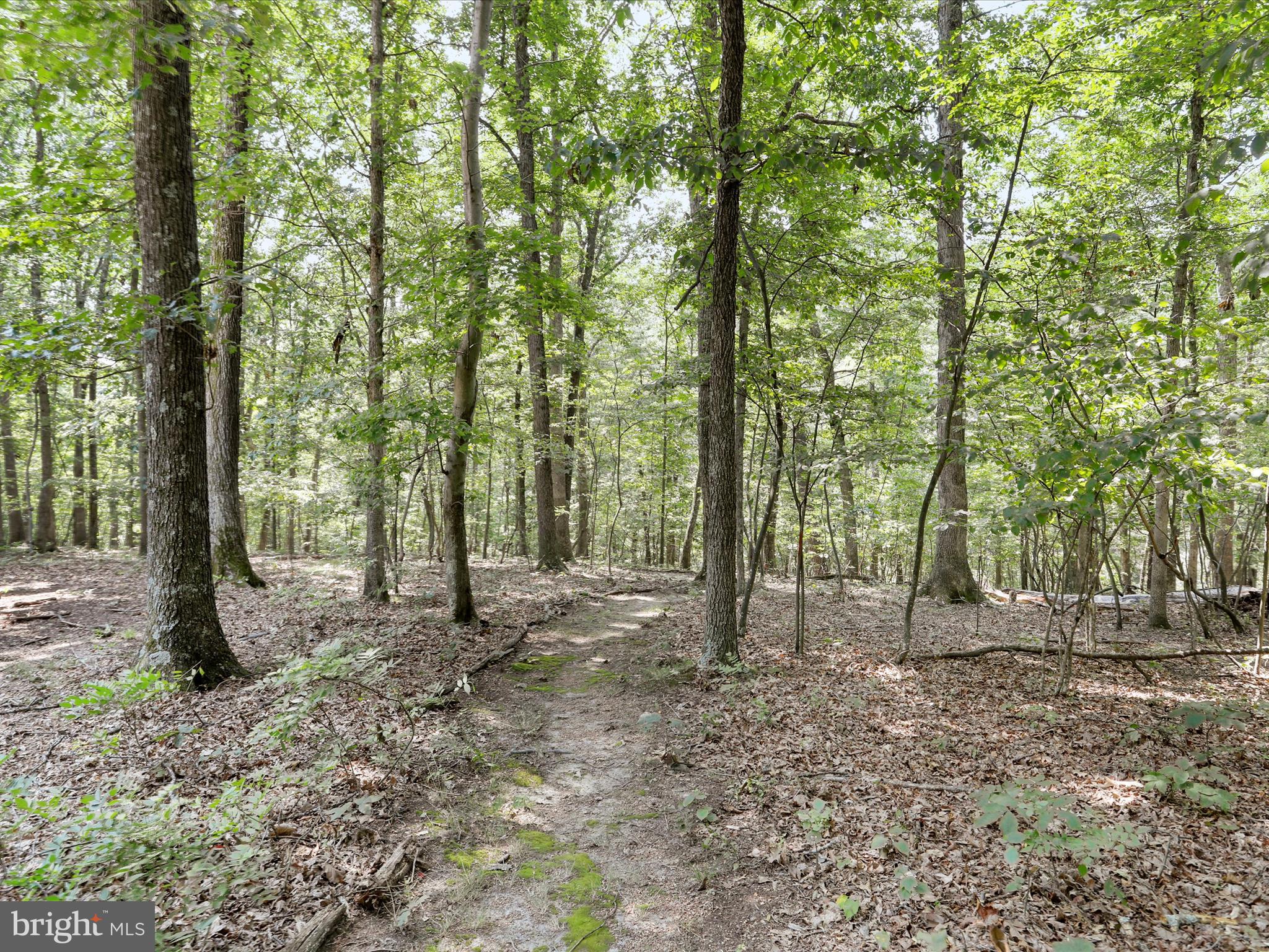 WOODHAVEN KNOLLS - Residential