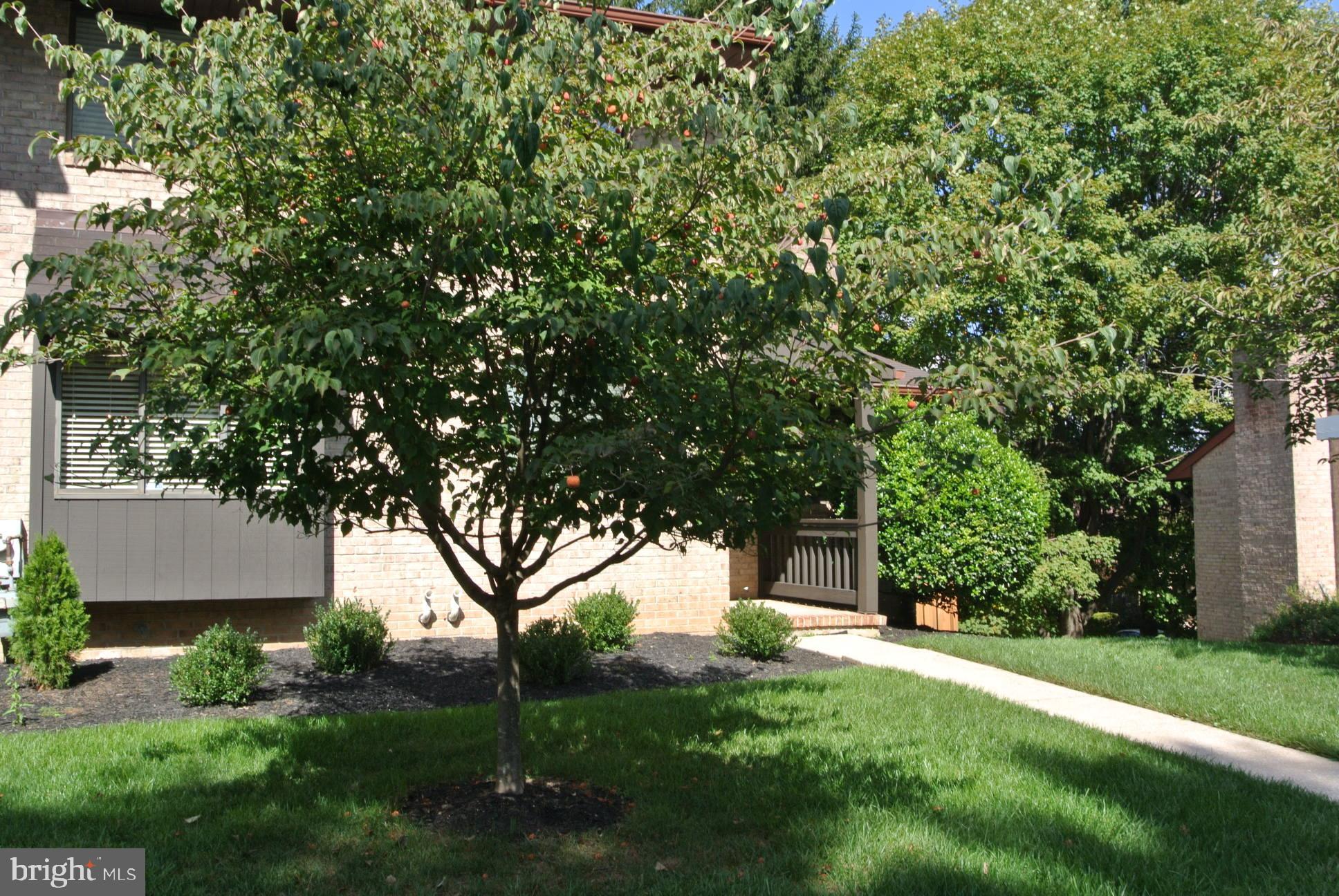 VALLEYWOOD AT FIVE FARMS - Residential Lease