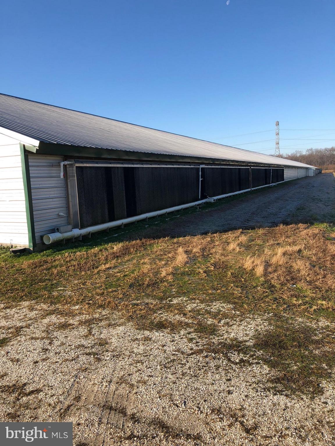 NONE AVAILABLE - Farm