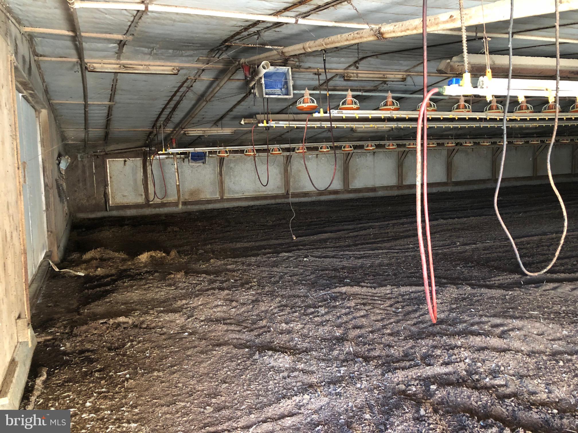 NONE AVAILABLE - Farm