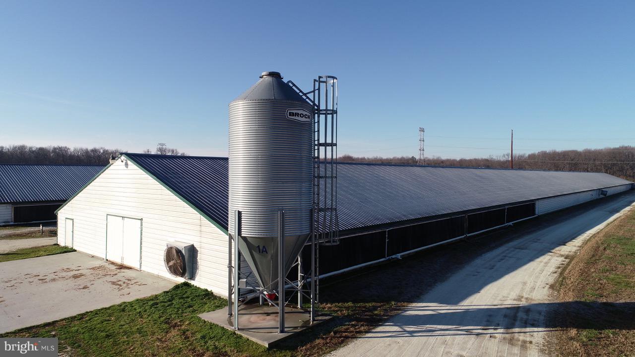 NONE AVAILABLE - Farm