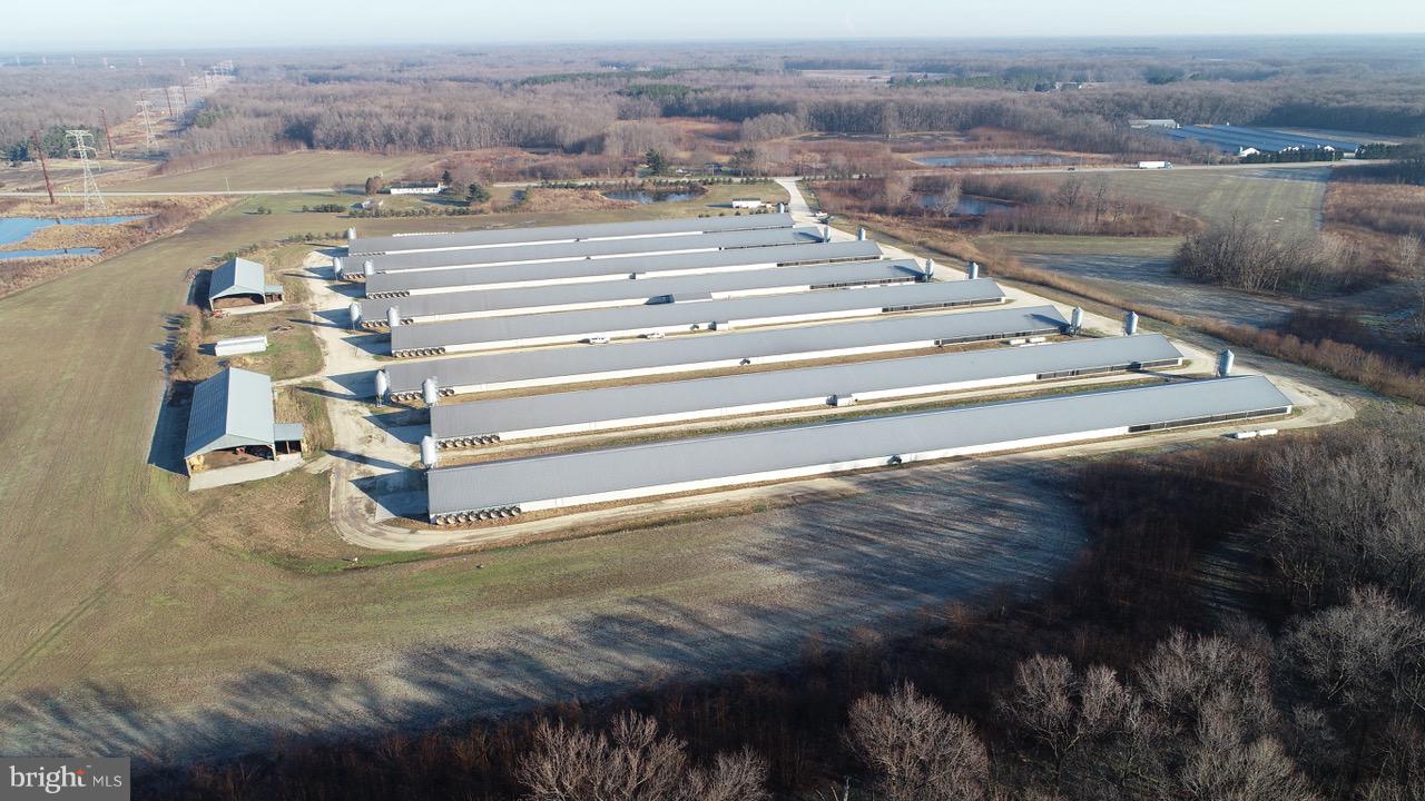 NONE AVAILABLE - Farm