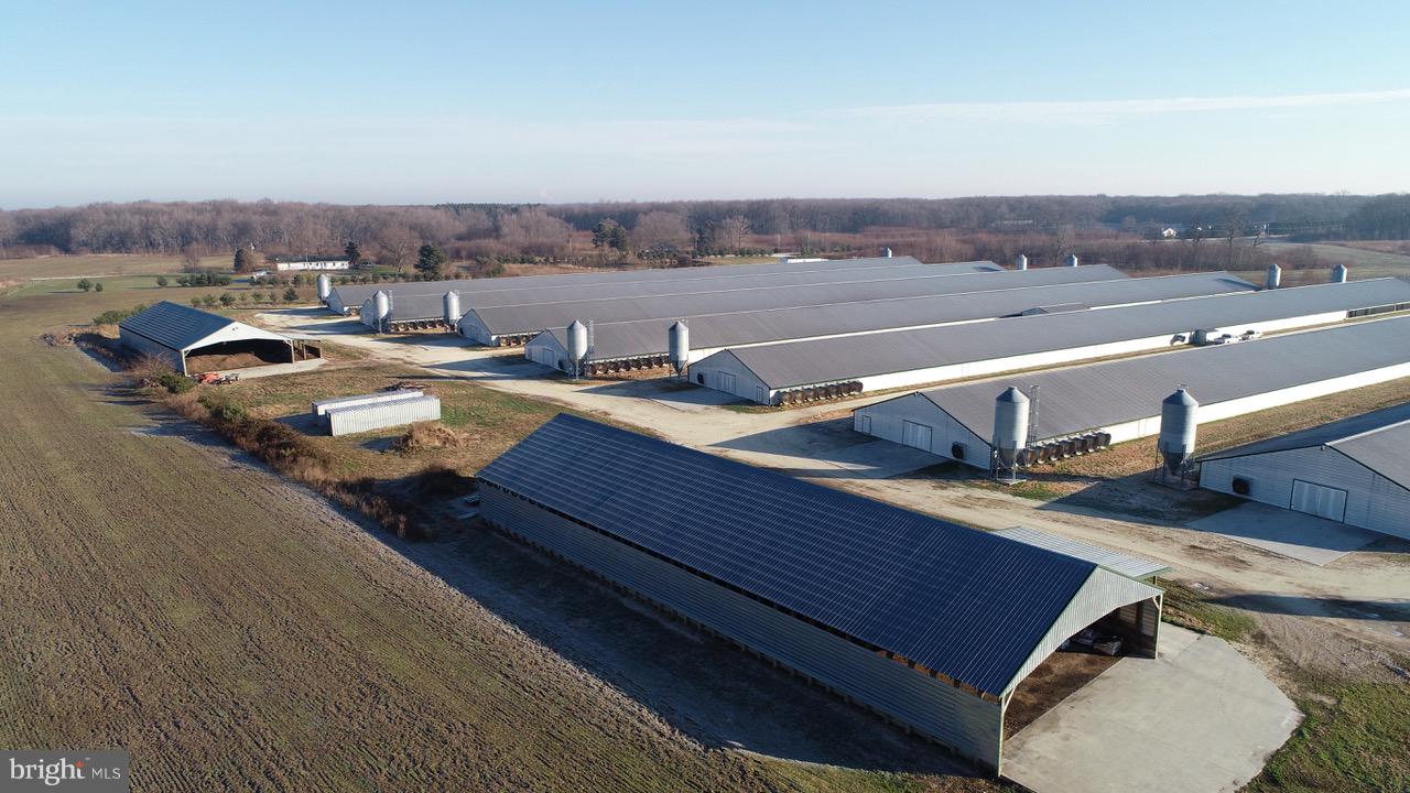 NONE AVAILABLE - Farm