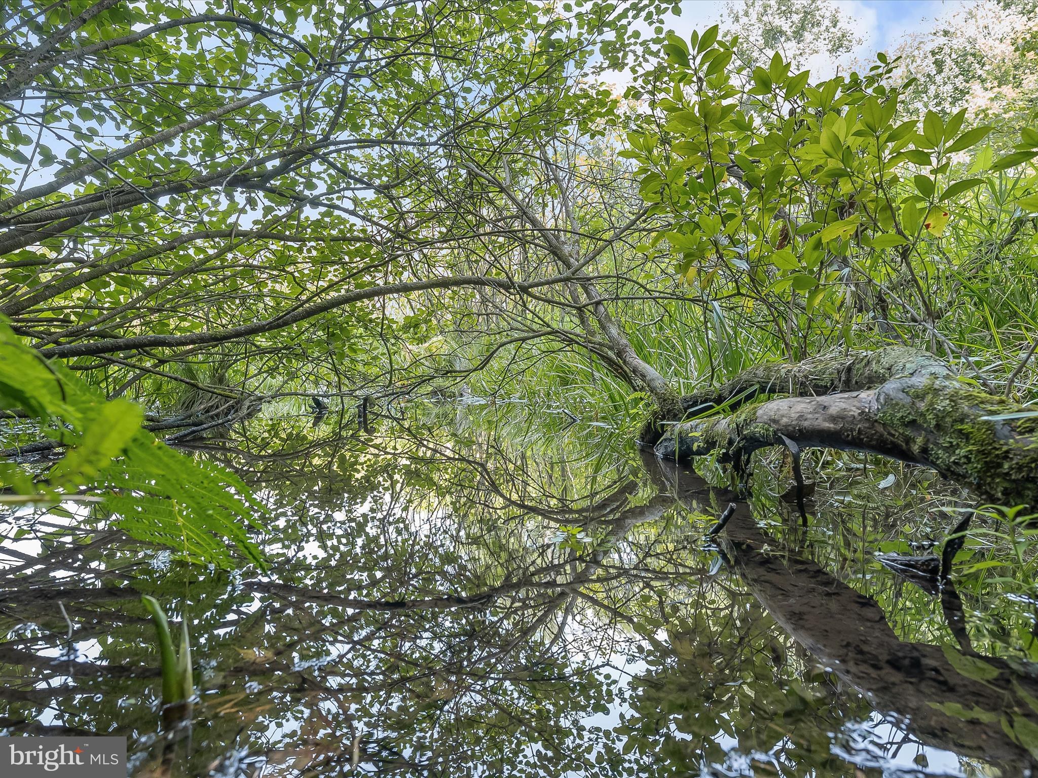 CABIN RIVER FARMS - Residential