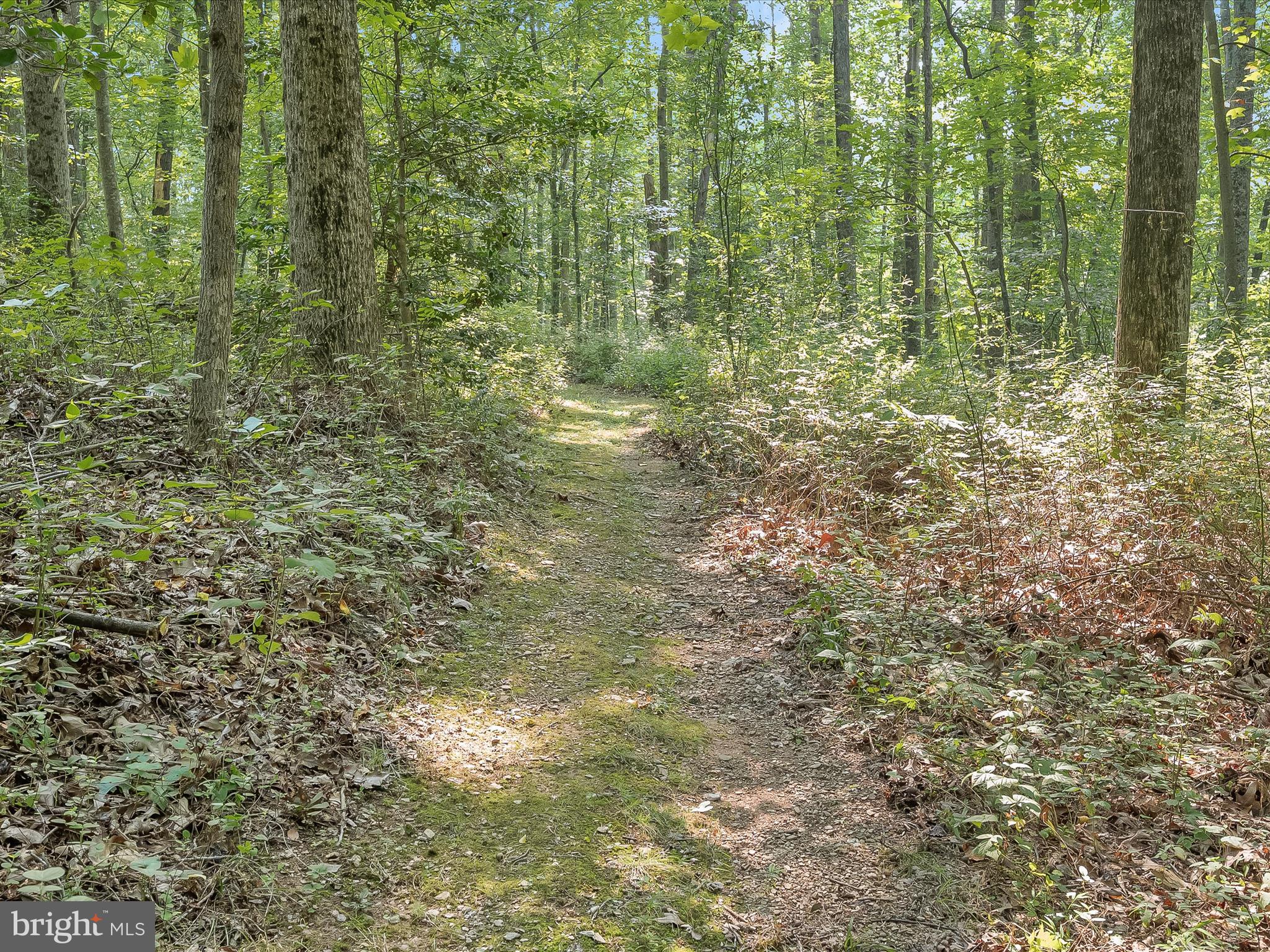 CABIN RIVER FARMS - Residential