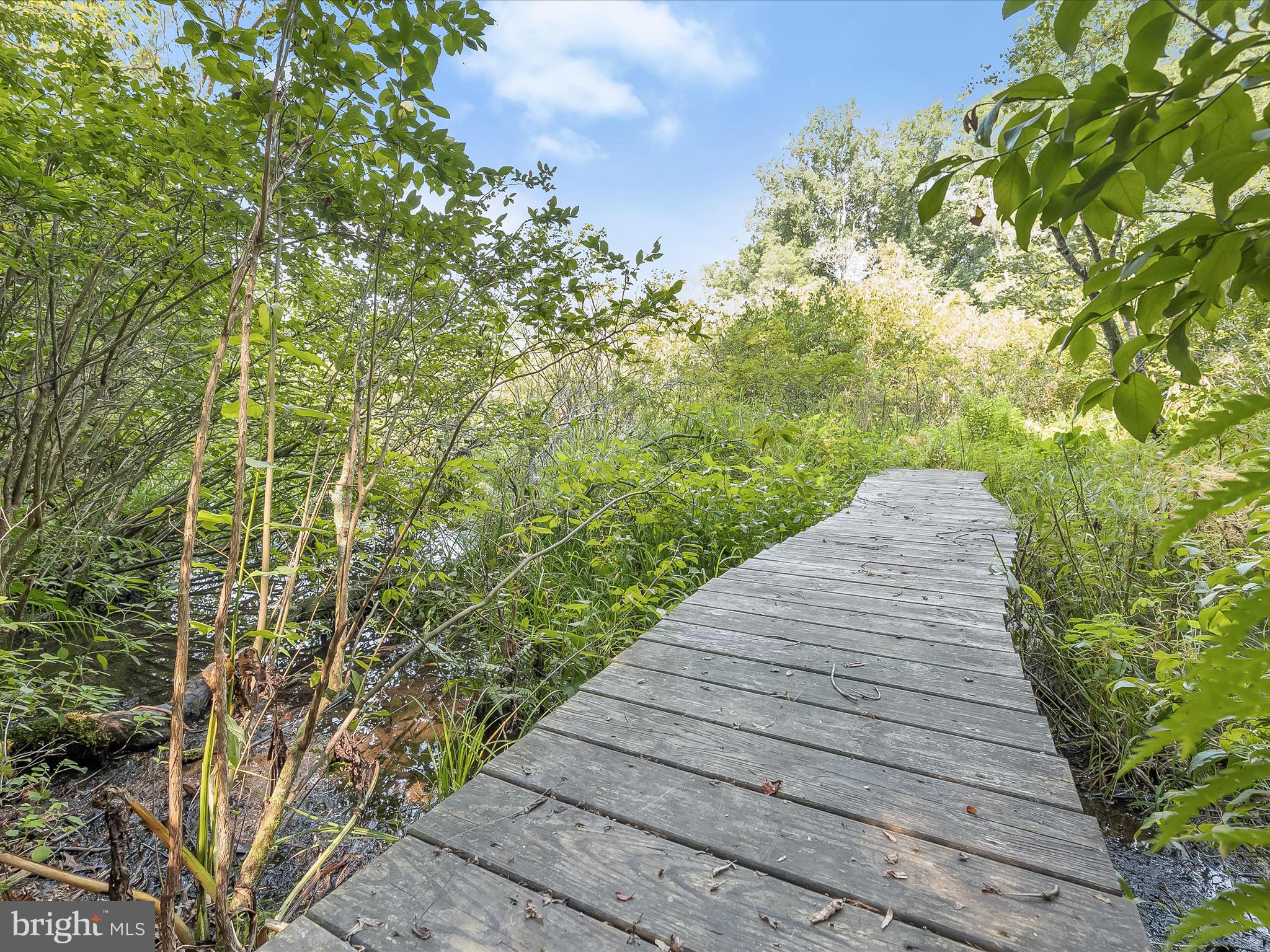 CABIN RIVER FARMS - Residential