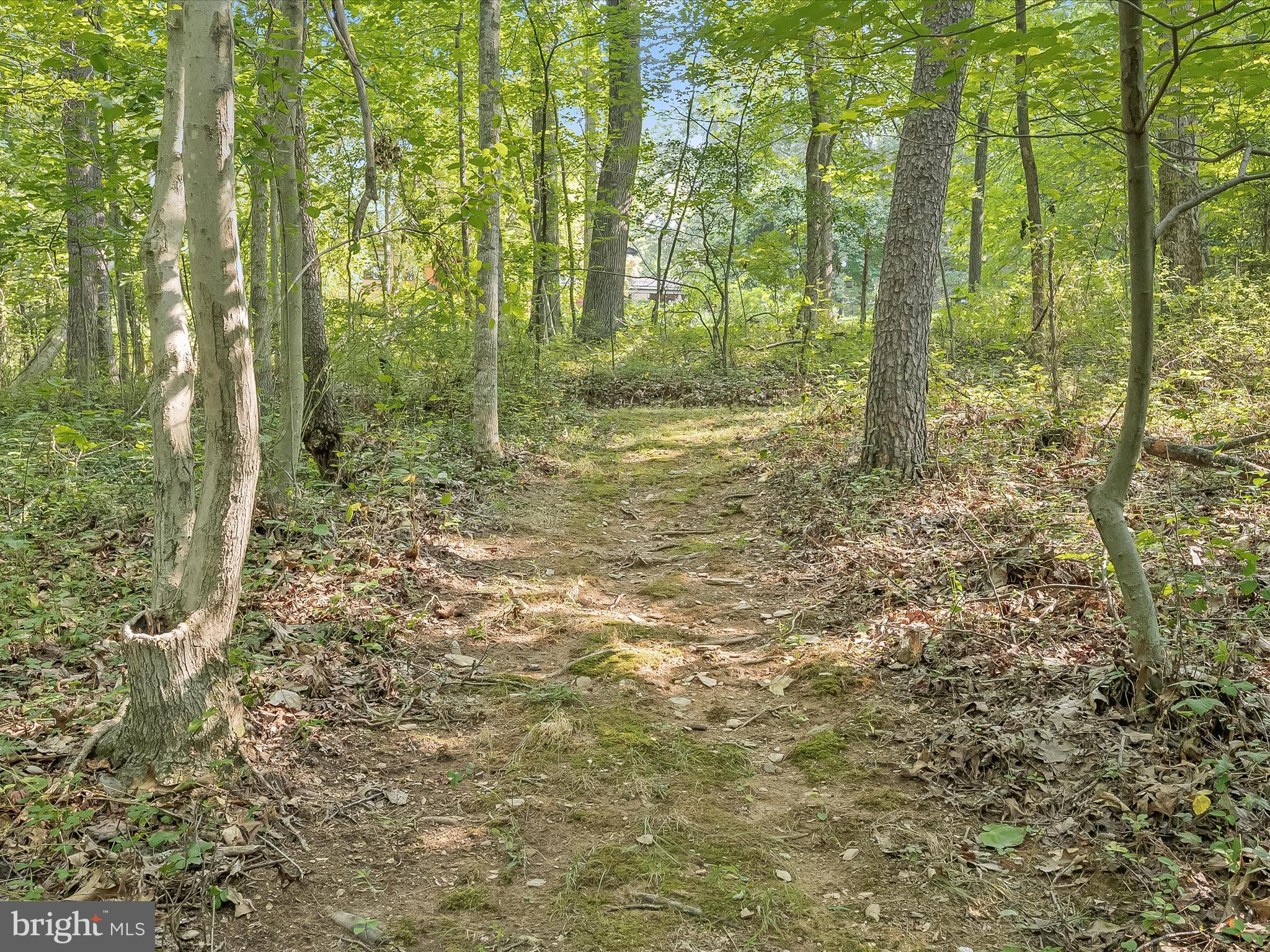CABIN RIVER FARMS - Residential