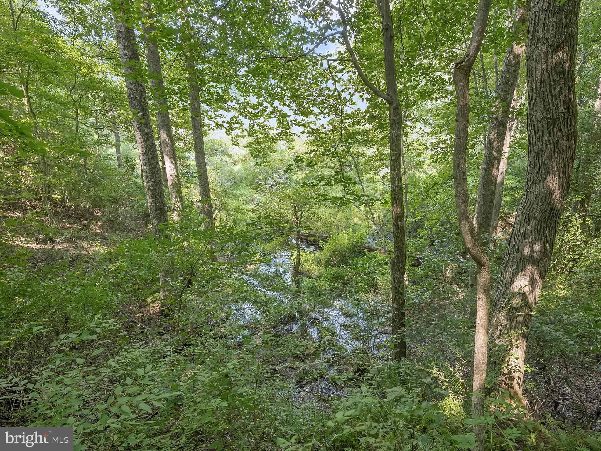 CABIN RIVER FARMS - Residential