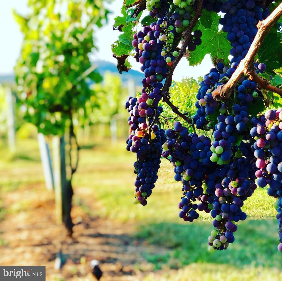 2110 QUICKSBURG ROAD