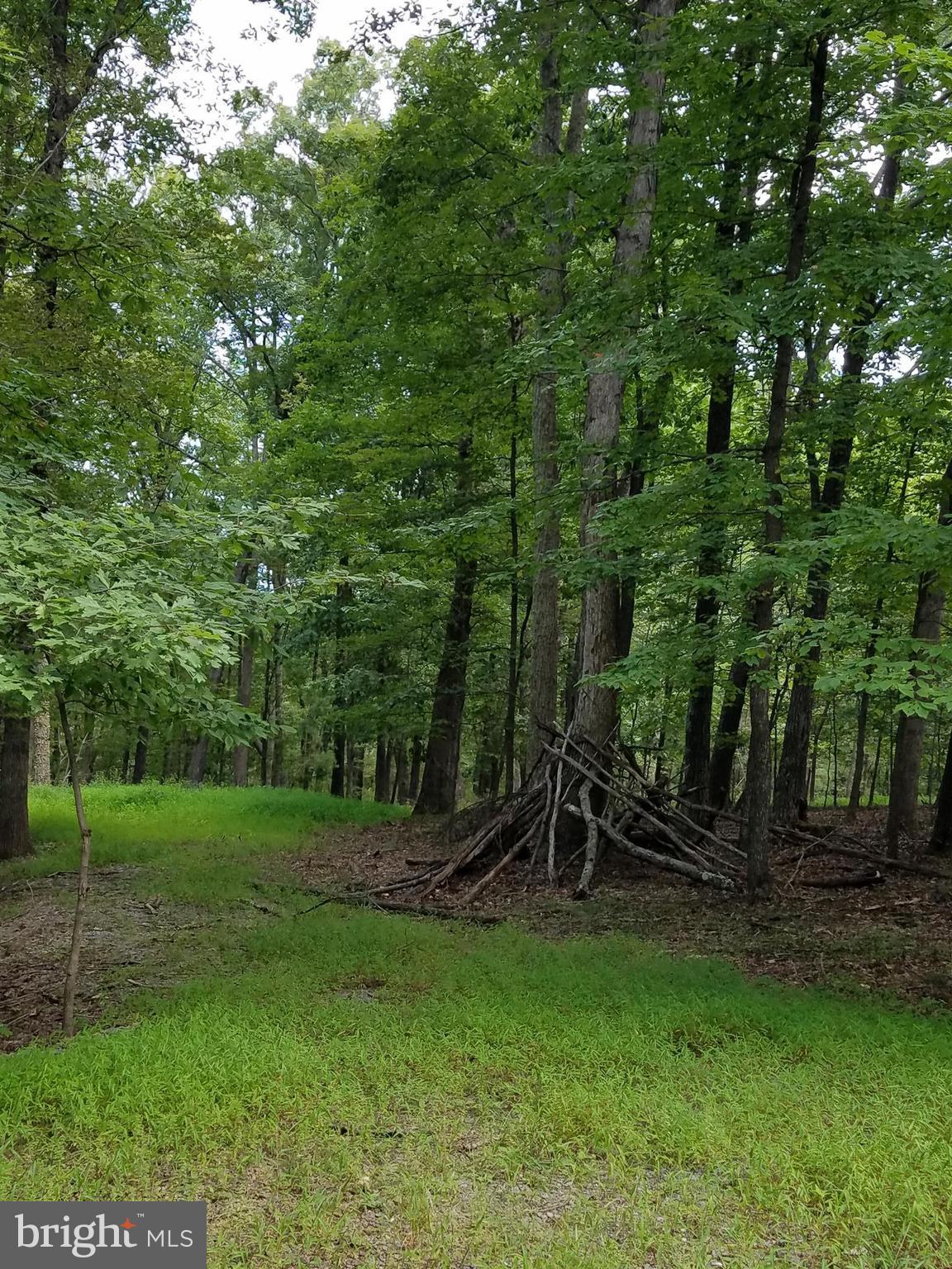 DEER SPRING WOODS - Land