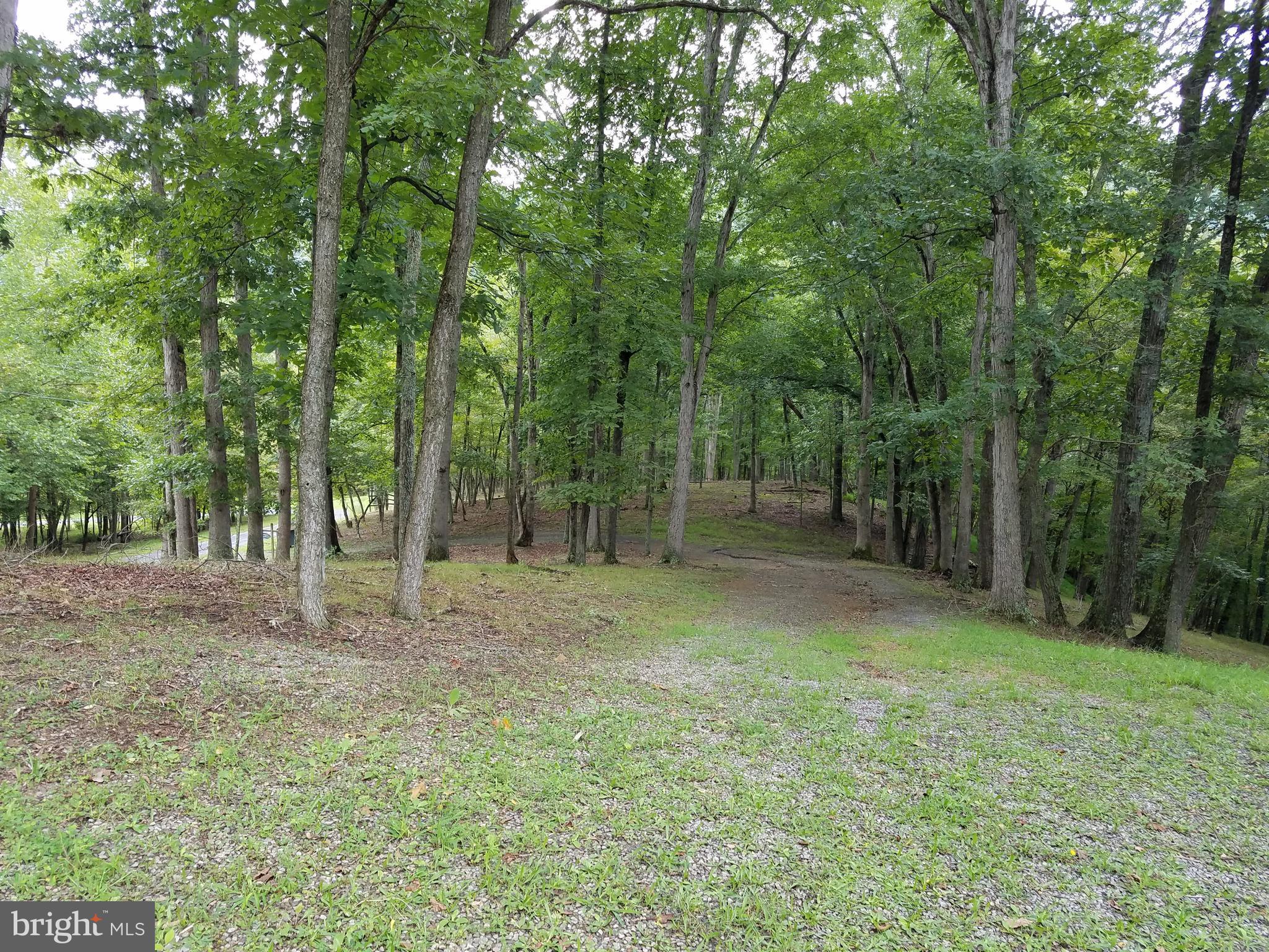 DEER SPRING WOODS - Land