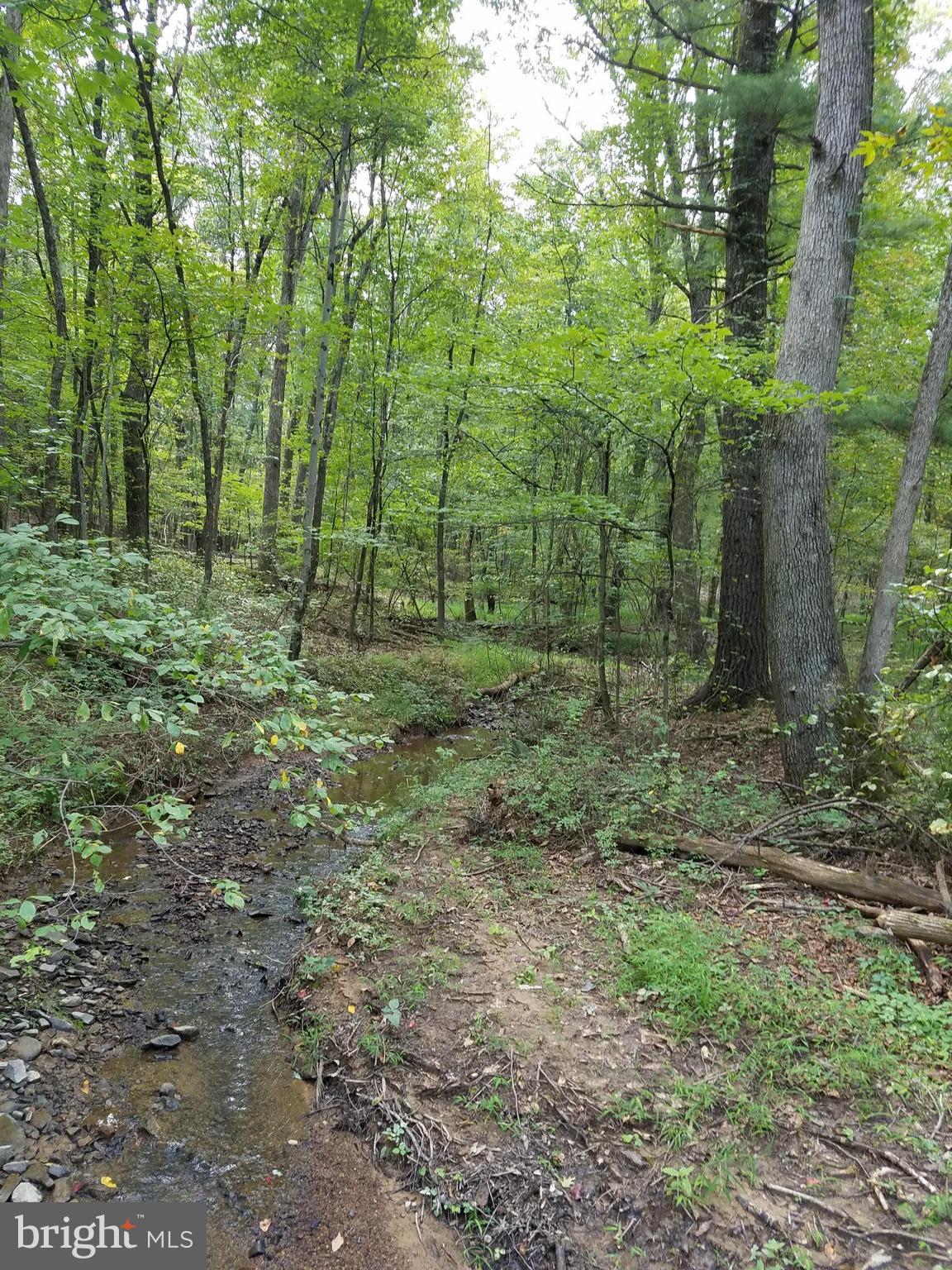 DEER SPRING WOODS - Land