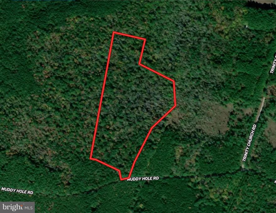 Welcome to Wicomico County, and a true gem of a hunting property on Maryland's Eastern Shore. Enjoy some of the finest hunting around chasing sika and whitetail deer, along with some turkeys. This property sits just north of the Wicomico River, and has plenty of state land hunting opportunites within minutes. A new survey was performed on the property in 2021, but the tax map parcel has not been updated by the county as of yet. The boundary was marked very well by the surveyor. Property is improved with a large gravel area that provides great parking, and/or a place to store your camper for those long weekends in the woods. The woods contains a good mix of mature hardwoods, along with some pines, and some open marshy areas ideally situated to catch that big stag passing through. You will find some high and dry spots that have been very successful hunting areas. To convey with the property is one box blind, a hanging feeder system with 55 gallon drum that needs a litte work, one double ladder stand, and one hang-on stand set all of which will go with the property. The property is encumbered by a DNR Conservation Easement that does not allow any building on the property.