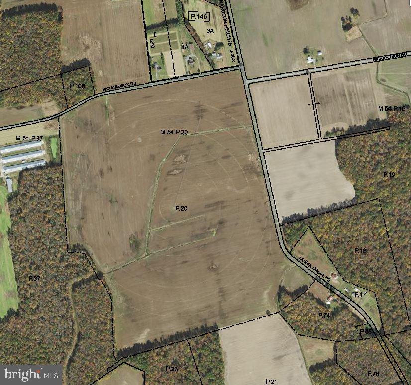 169+/- contiguous acre Caroline County Farm with approx. 99% tillable and 95% irrigated (to be verified). Irrigation equipment conveys. Irrigation details available upon inquiry. No preservations or encumbrances.