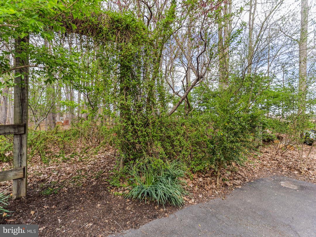 LEWIS CHAPEL - Residential