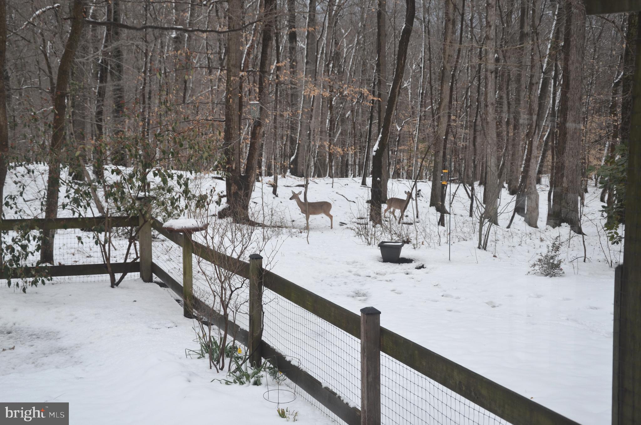 LEWIS CHAPEL - Residential