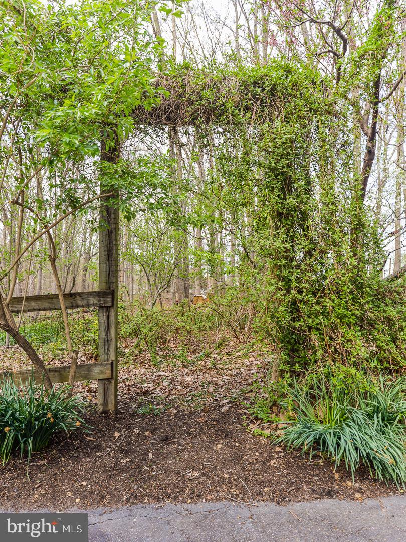 LEWIS CHAPEL - Residential