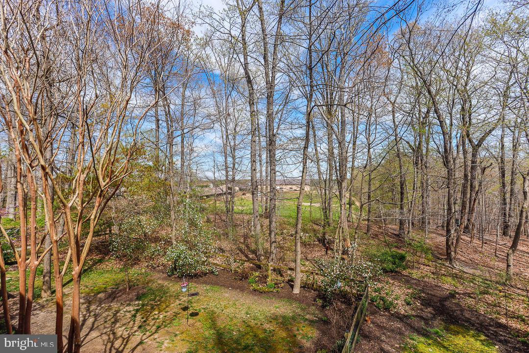 LEWIS CHAPEL - Residential