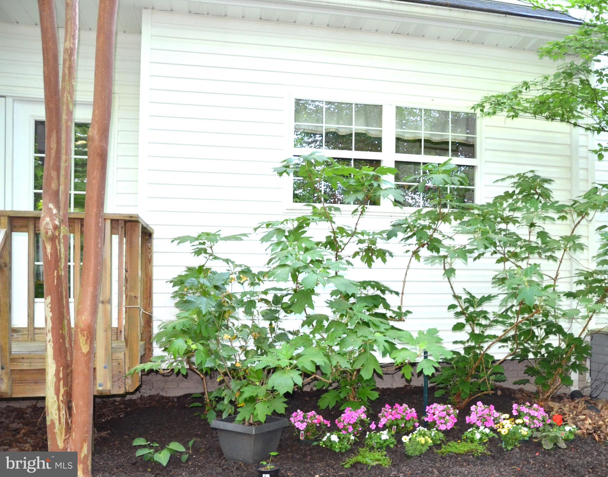 LEWIS CHAPEL - Residential