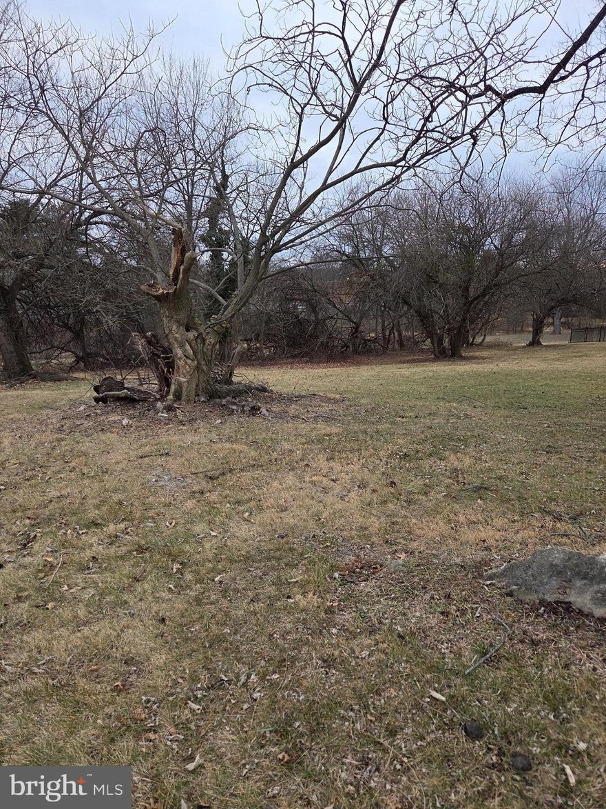 If you want to build in the city limits, this is it!  Located in an established neighborhood across from Whittier Park.  Minutes to restaurants, shops, breweries, walking mall and more!  Call today!