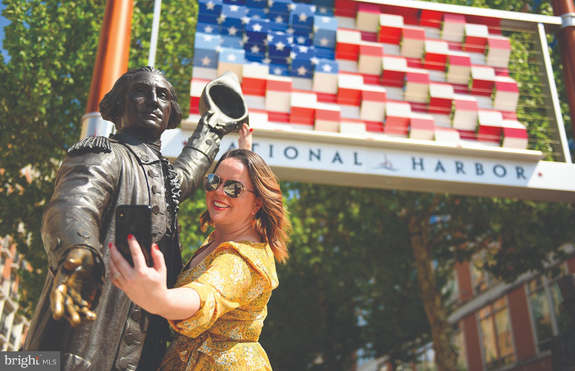 THE FLATS AT NATIONAL HARBOR - Residential