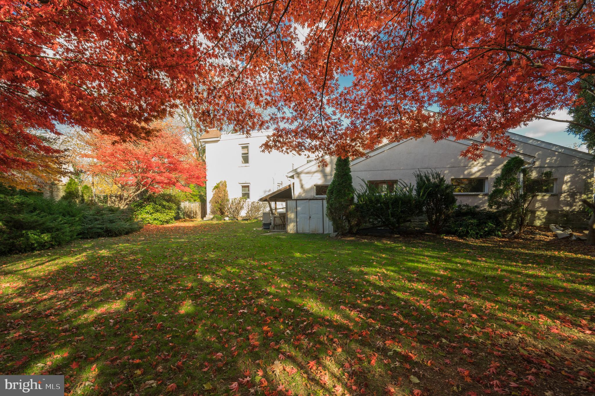 ROXBOROUGH - Residential Lease