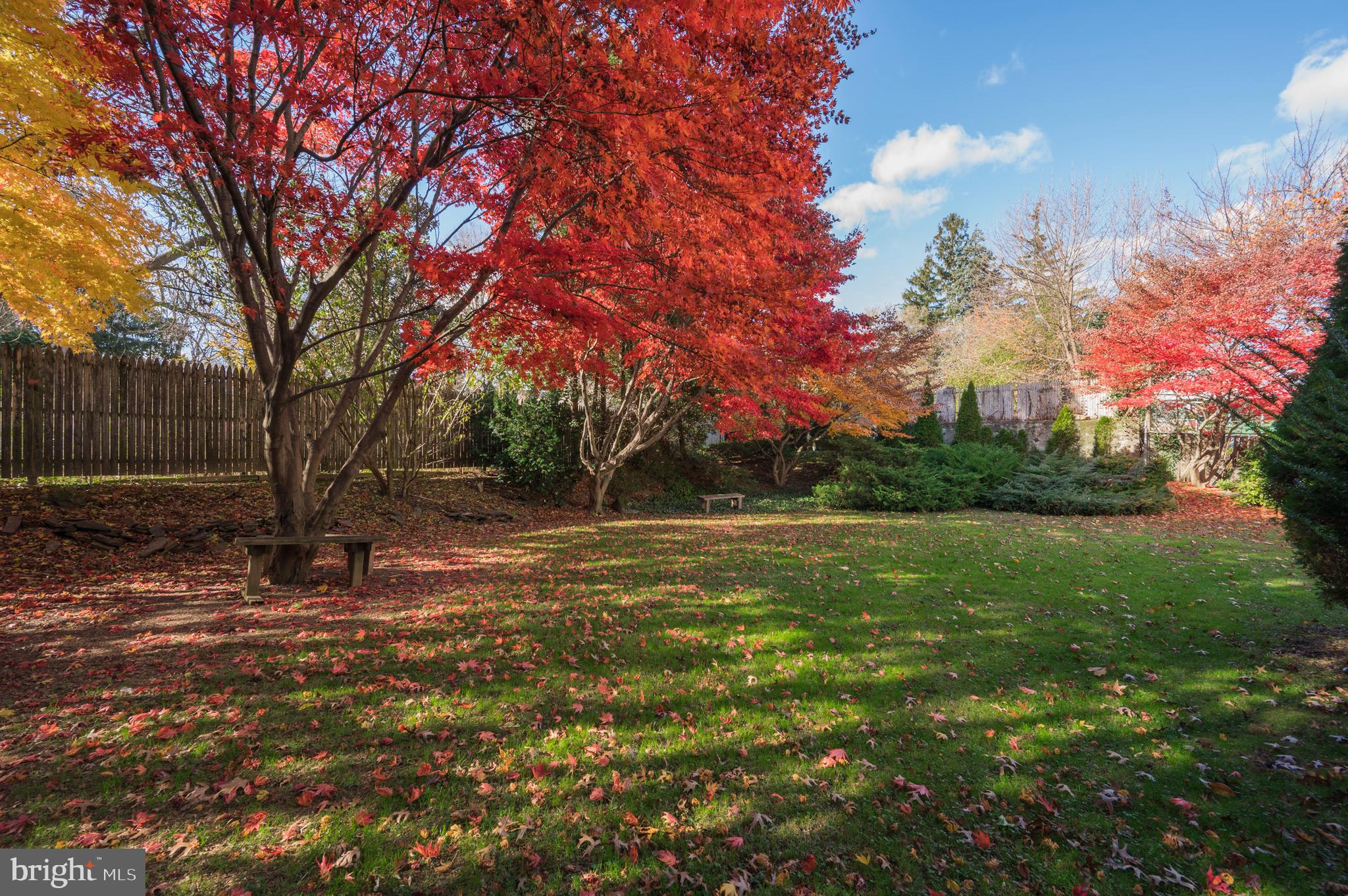 ROXBOROUGH - Residential Lease