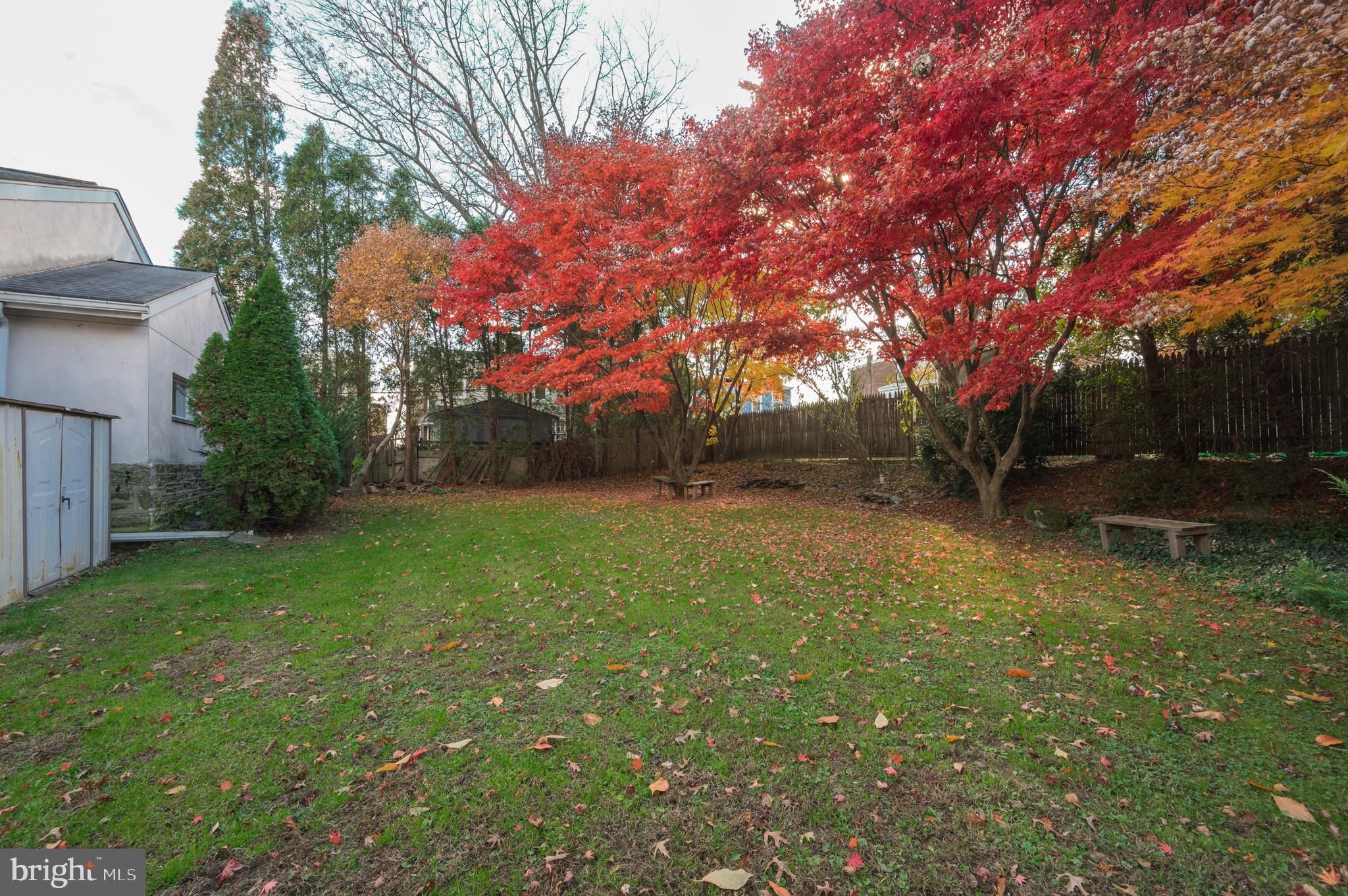 ROXBOROUGH - Residential Lease