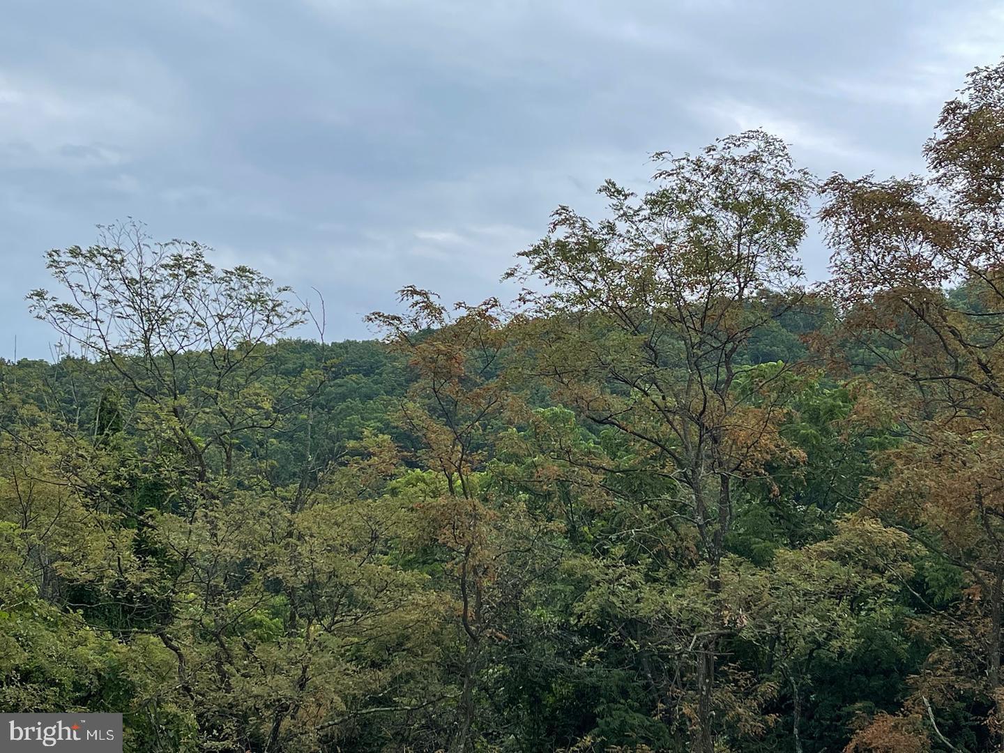 CARDINAL RIDGE ESTATES - Land