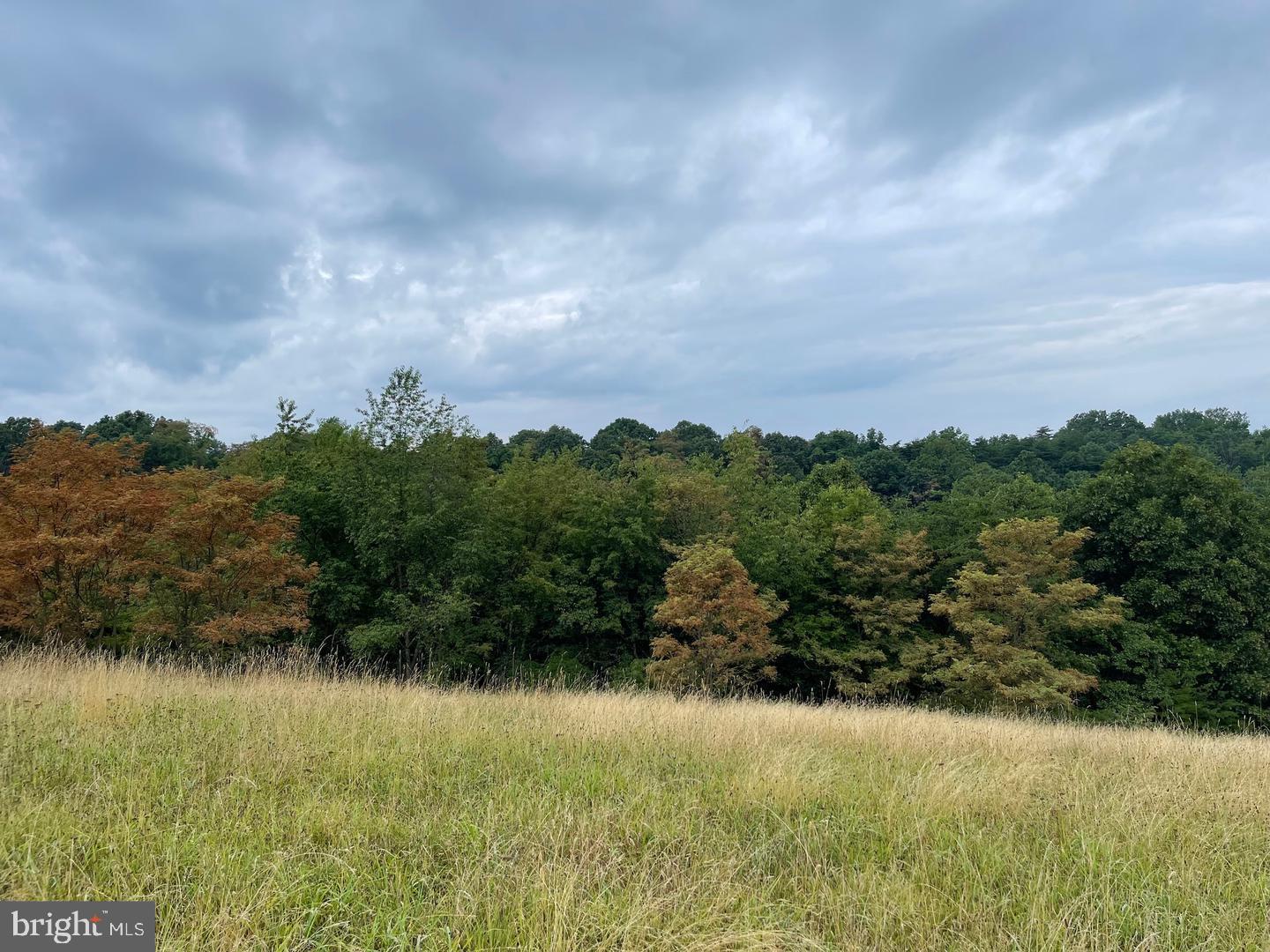 CARDINAL RIDGE ESTATES - Land