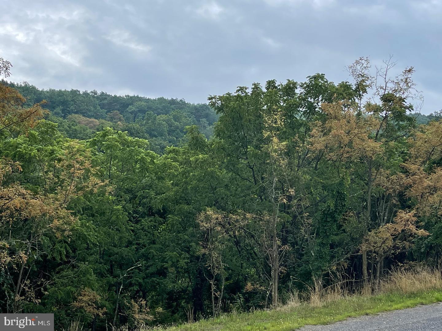 CARDINAL RIDGE ESTATES - Land