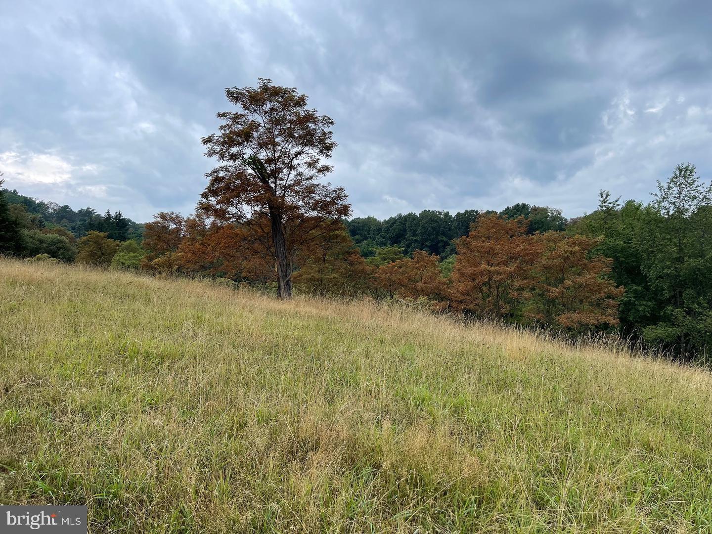 CARDINAL RIDGE ESTATES - Land